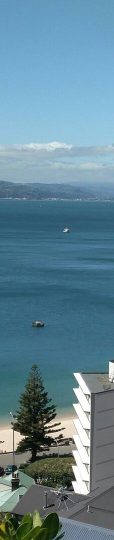 维多利亚山-惠灵顿