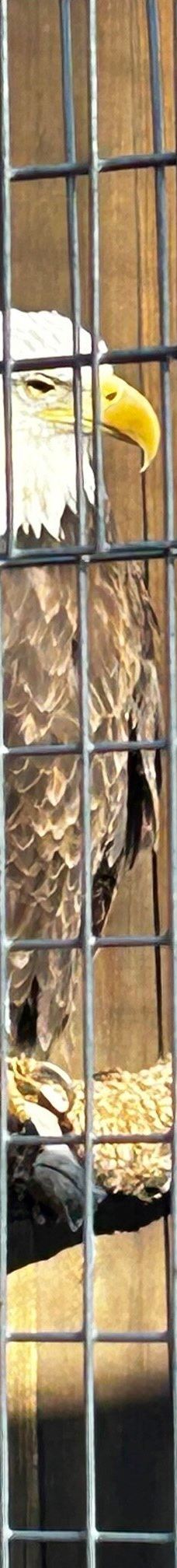 大熊湖动物园-大熊湖