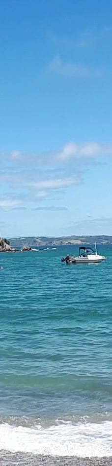 豪拉基湾-奥克兰