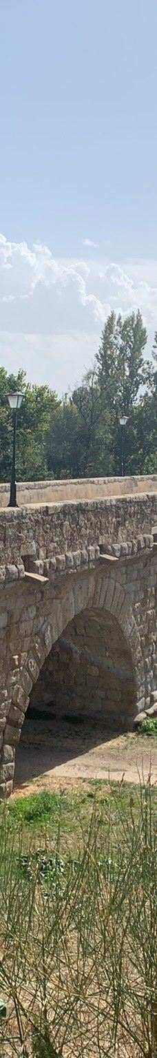 罗马古桥-萨拉曼卡