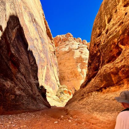 美国拉斯维加斯+凤凰城+盐湖城10日9晚私家团