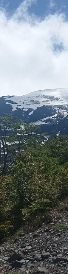 Ventisquero Negro-巴里洛切县