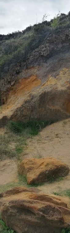 Morsum-Kliff-摩尔苏姆