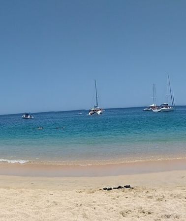 2D • Snorkeling at Santa Maria Bay + Chileno Bay in Los Cabos, Mexico