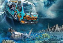 Bermuda Underwater Exploration Institute景点图片