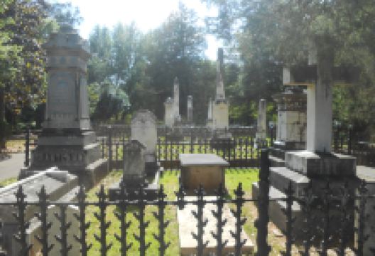 Memory Hill Cemetery景点图片