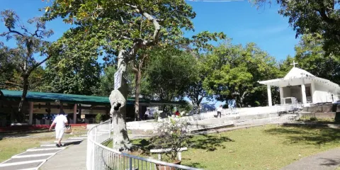 Holy Infant Jesus of Prague Shrine