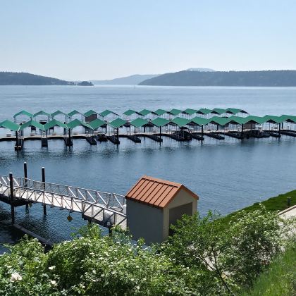 美国黄石国家公园+大提顿国家公园5日4晚跟团游