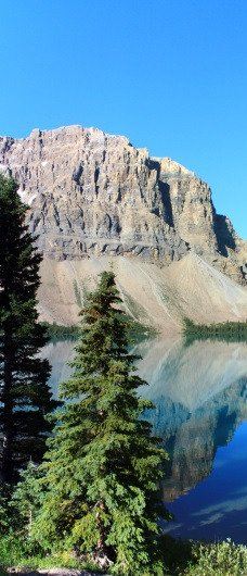 冰原大道-Improvement District No. 9