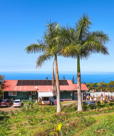 8D7N • Experience Endless Aloha: Simplify Hawaii Getaway With Well-Located Hotel, Spend More Time Creating Memories