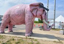 Pink Elephant景点图片