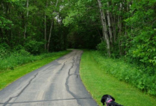 Cleary Lake Regional Park景点图片