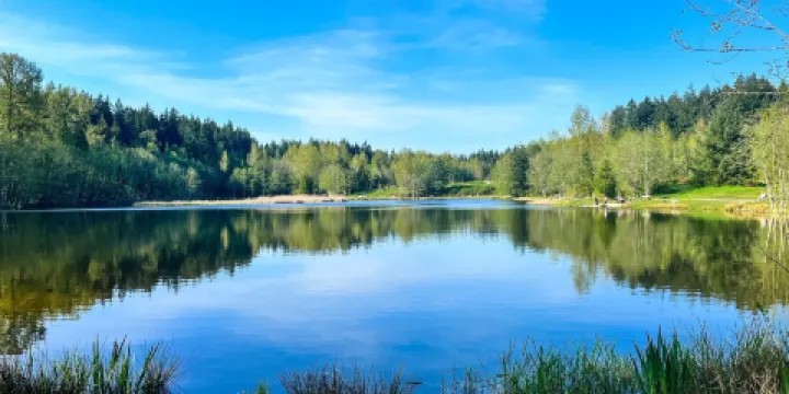 Green Timbers Urban Forest