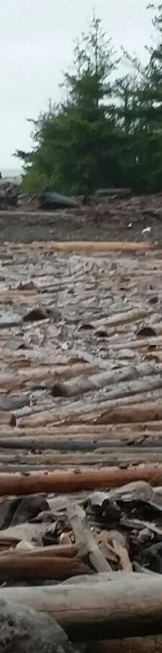 Rebecca Spit Marine Provincial Park-奎德拉岛