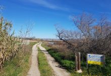 Site naturel protege de l'etang de Bolmon景点图片