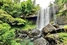 Zillie Falls, Qld景点图片