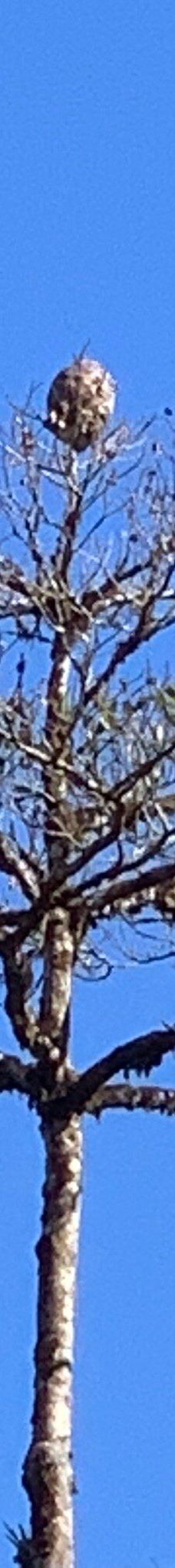 Finca Cantaros-圣维托