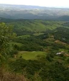 Parque Estadual Mata do Limoeiro-伊塔比拉