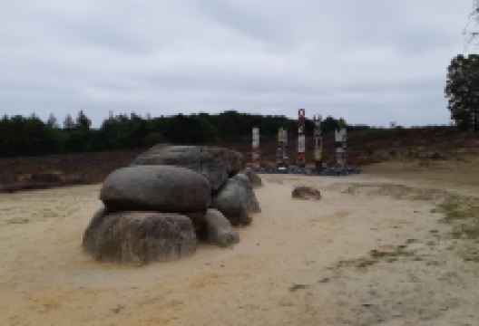 Into Nature Art Expedition景点图片