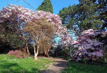 Clyne Valley Country Park景点图片