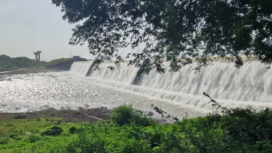 Sasoi dam