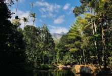 Chokramudi Peak景点图片