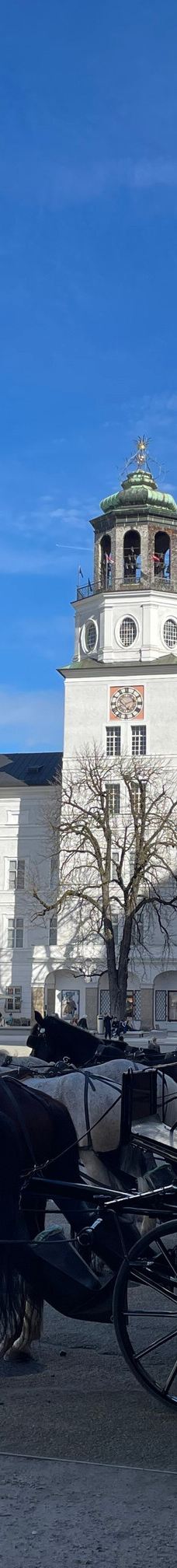 王宫广场-萨尔茨堡