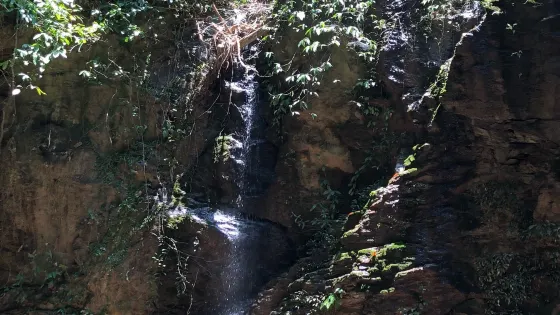Tiger Cave