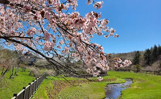 Kameda Memorial Park