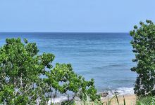 Playa Rincon Bella景点图片