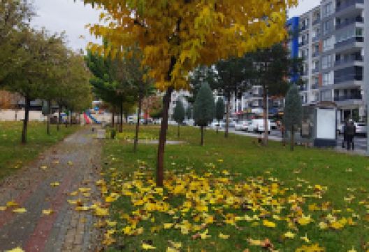 Tilmerç kürtler parkı景点图片
