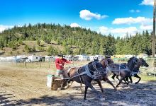 North Thompson Fall Fair Rodeo & Agriplex景点图片