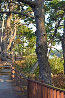 Bungye Beach-新安郡