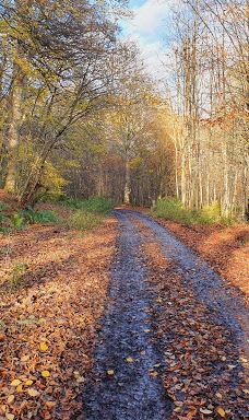 Duns Castle Nature Reserve-邓斯