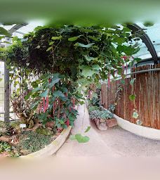 Botanical Garden-维尔茨堡