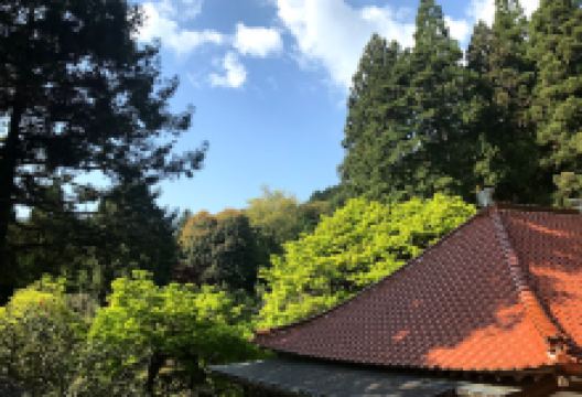 Manzaiji景点图片