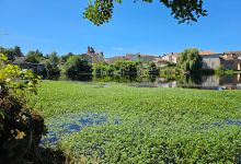 Parc de loisir景点图片