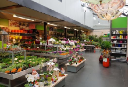 Garden Center Luyckx购物图片