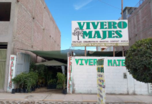 Vivero Majes购物图片