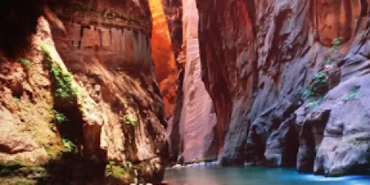 David J West Gallery