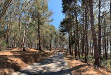 Junipero Serra County Park景点图片