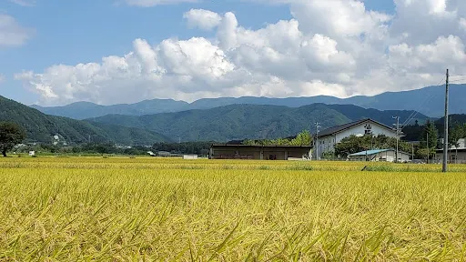 仙釀
