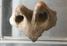 Museo Civico Archeologico A.C. Simonini景点图片