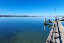 Kauri Point Wharf景点图片