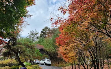 忠州雞鳴山自然休養林