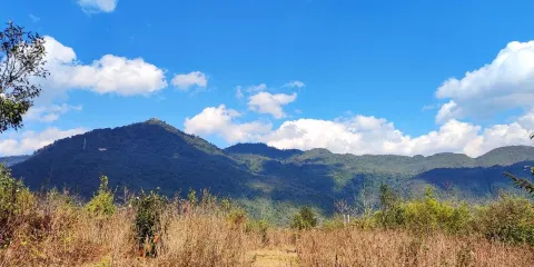 金平分水嶺國家級自然保護區