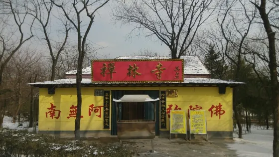 塔山公園-禪林寺