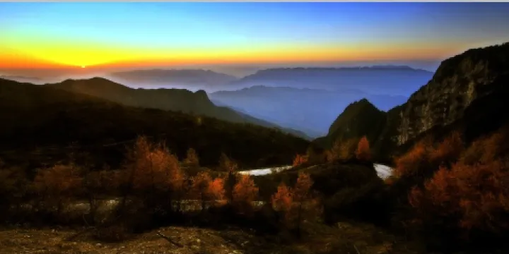 梨子坪森林公園