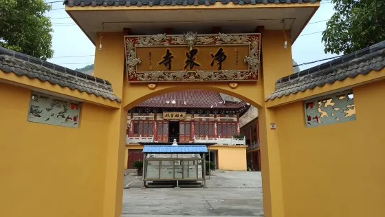 凈眾寺
