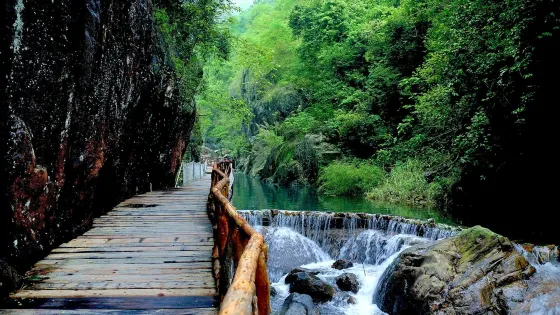 山東文旅·天蒙山旅遊區-塔山森林公園
